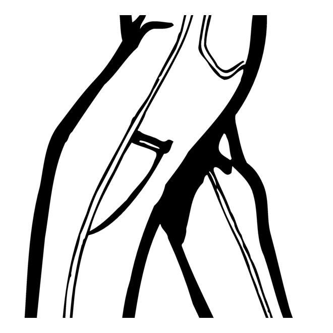 JEANS Thumbnail