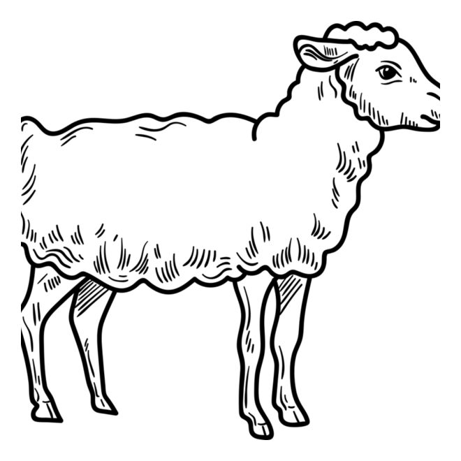 Lamb   Clipart 3 Thumbnail