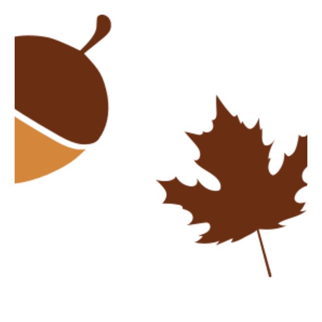Thanksgiving fall season Thumbnail