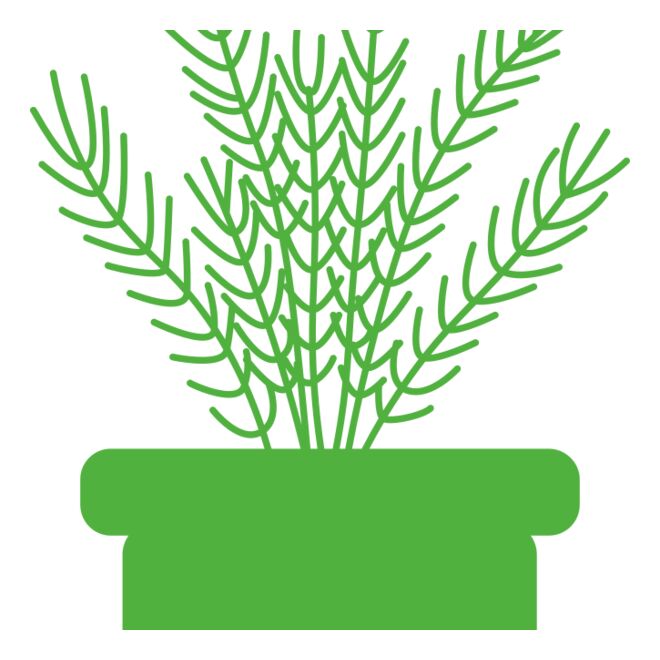 Herb Thumbnail