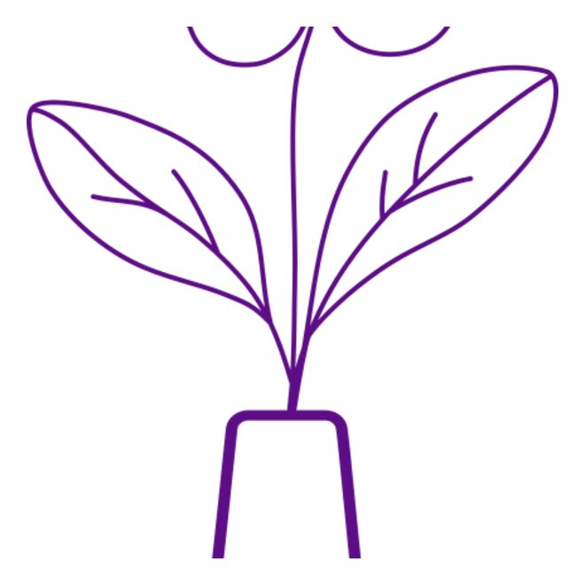 Flowers 13 Thumbnail