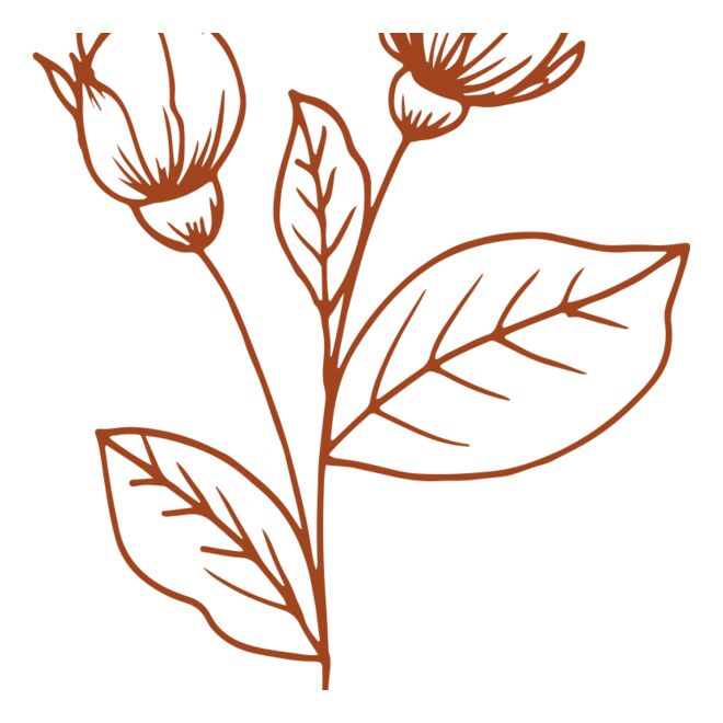 Flowers 8 Thumbnail