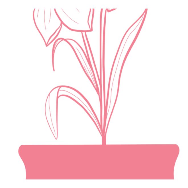 Flowers 4 Thumbnail