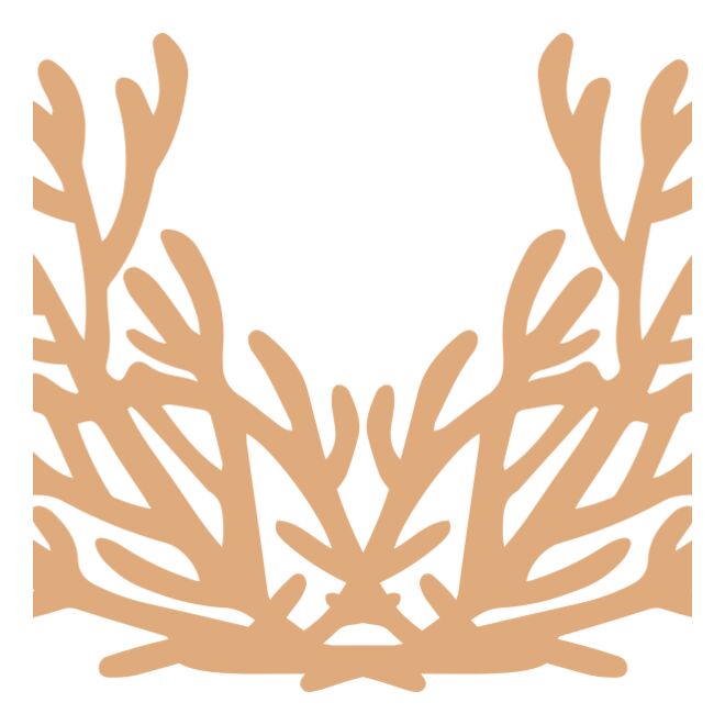 Sea Plants Thumbnail