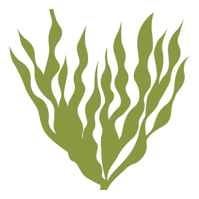 Sea Plants 5 Thumbnail