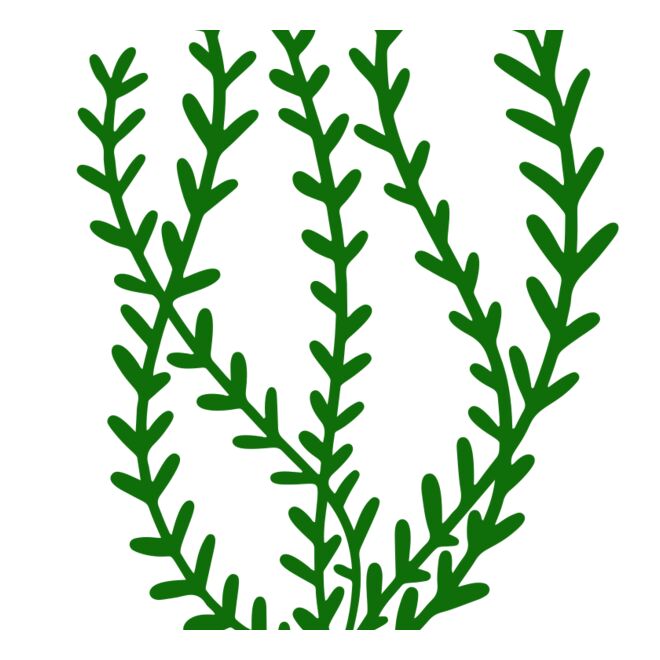 Sea Plants 3 Thumbnail