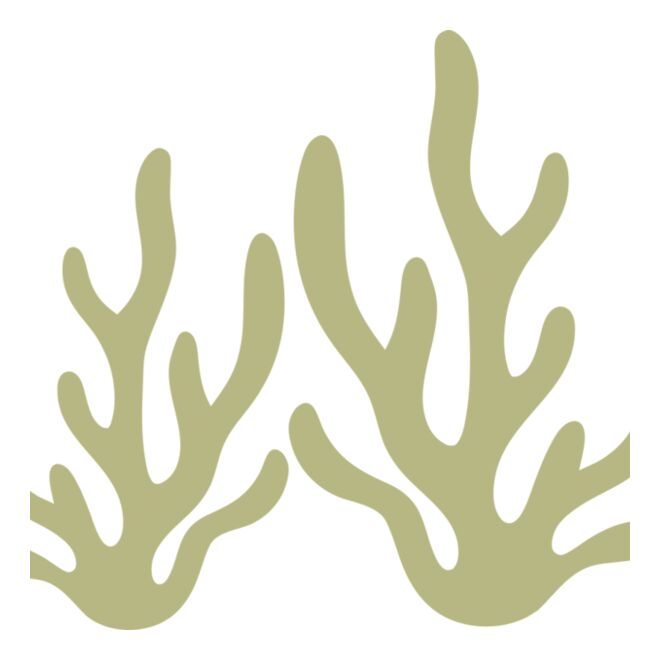 Sea Plants 2 Thumbnail