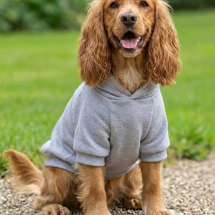 Pet Wear Thumbnail