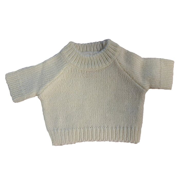 Teddy jumper Thumbnail