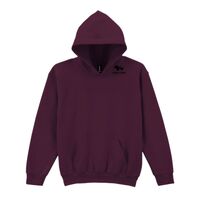 Trade youth hooded sweatshirt Thumbnail