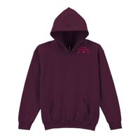 Trade youth hooded sweatshirt Thumbnail