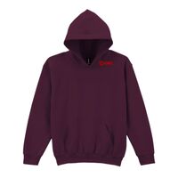 Trade youth hooded sweatshirt Thumbnail