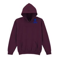 Trade youth hooded sweatshirt Thumbnail