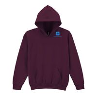 Trade youth hooded sweatshirt Thumbnail