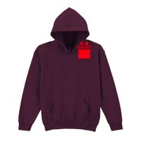 Trade youth hooded sweatshirt Thumbnail