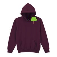 Trade youth hooded sweatshirt Thumbnail