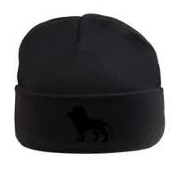 Beanie Hat with Lining Thumbnail