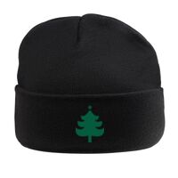 Beanie Hat with Lining Thumbnail