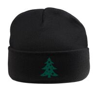 Beanie Hat with Lining Thumbnail