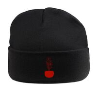 Beanie Hat with Lining Thumbnail