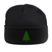 Beanie Hat with Lining Thumbnail