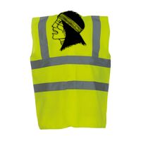 OFFER High-Vis Vests x10  Thumbnail