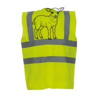 OFFER High-Vis Vests x10  Thumbnail