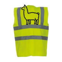 OFFER High-Vis Vests x10  Thumbnail