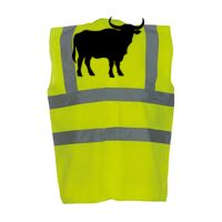 OFFER High-Vis Vests x10  Thumbnail