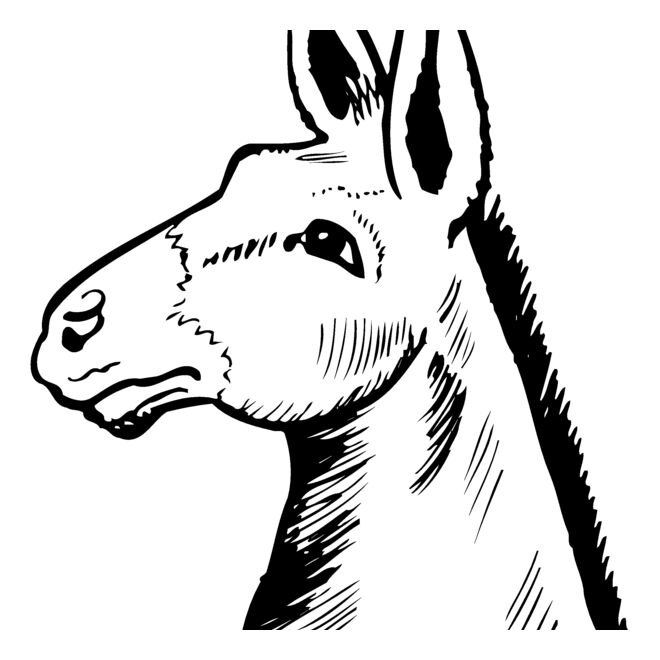 Animals Thumbnail