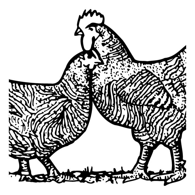 Birds Thumbnail