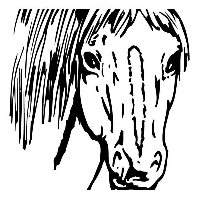 Horses Thumbnail