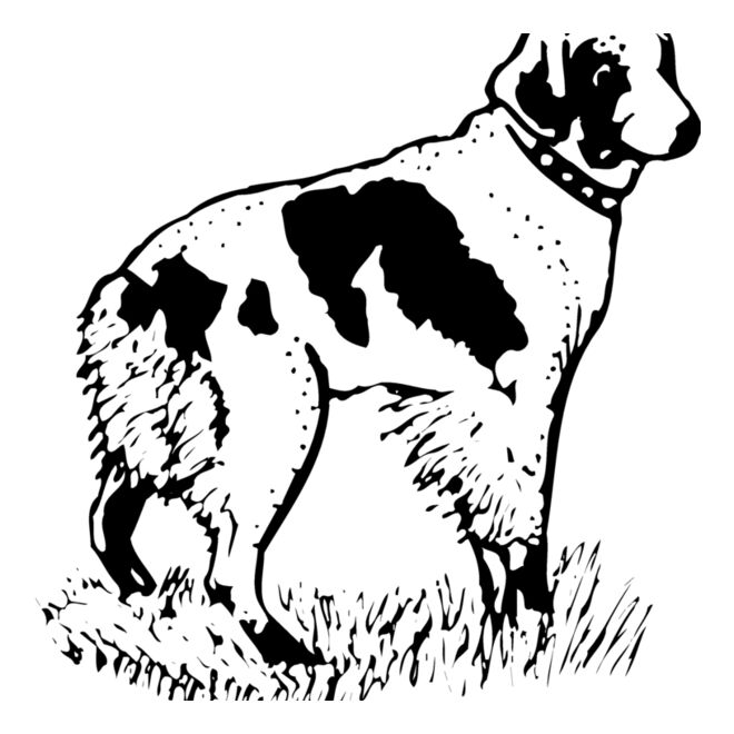 Dogs Thumbnail
