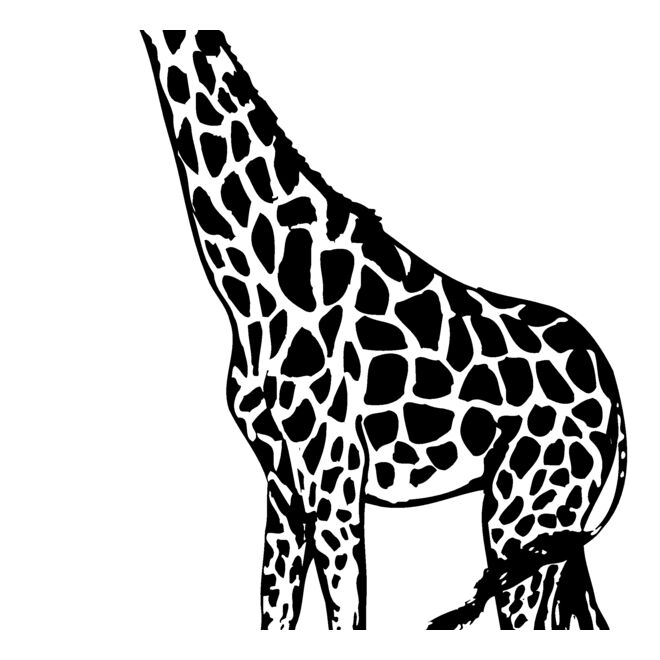 Giraffes Thumbnail