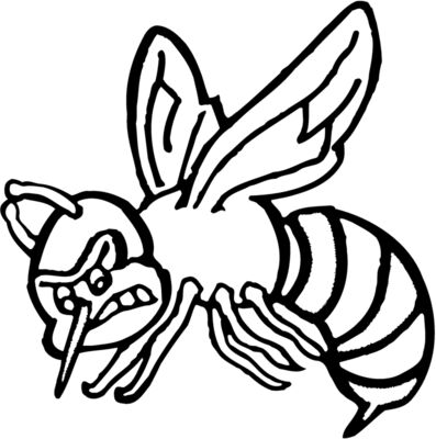 Insects
