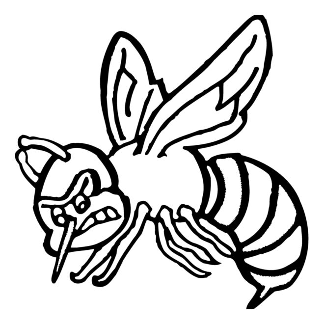 Insects Thumbnail