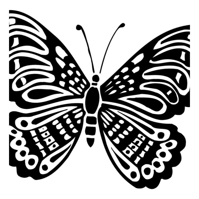 Butterflies Thumbnail