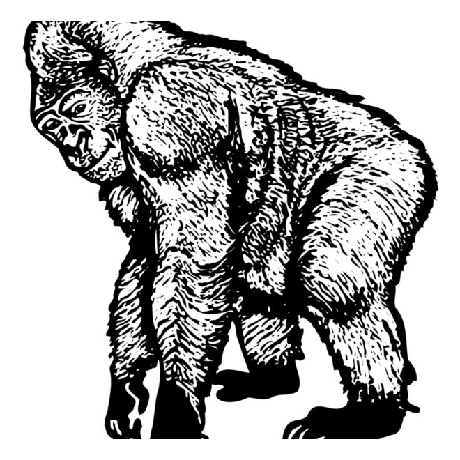 Primate Thumbnail