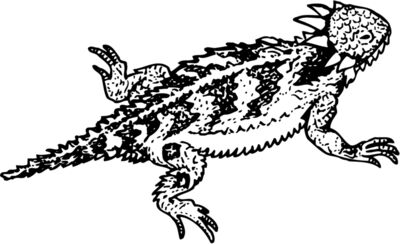 Reptile