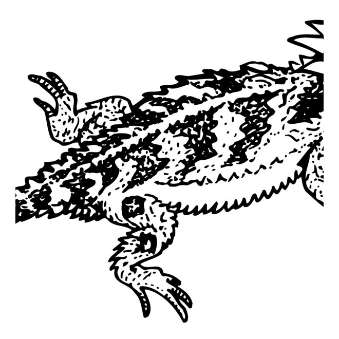 Reptile Thumbnail