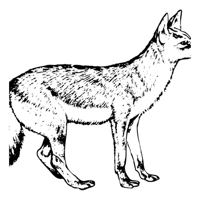 Wolves Thumbnail