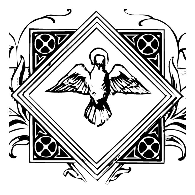 Dove Thumbnail