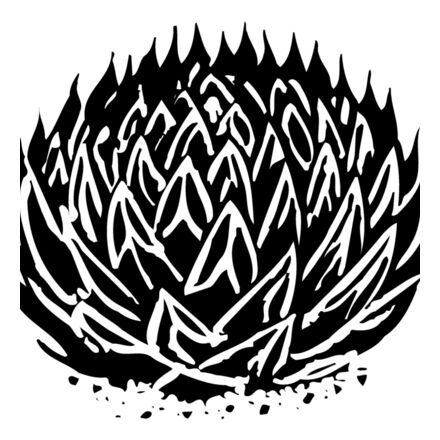 Plants Thumbnail