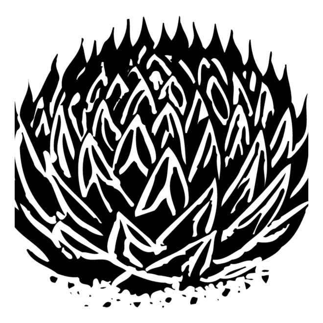 Plants Thumbnail