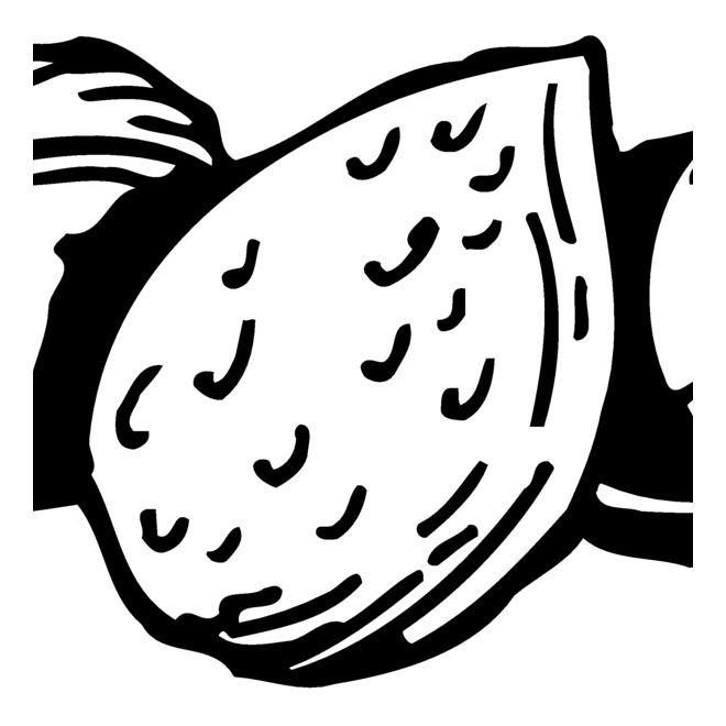 Nuts Thumbnail