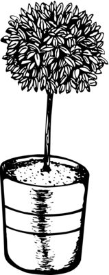 Trees