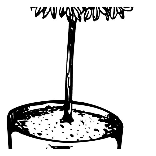 Trees Thumbnail